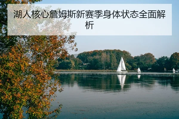 湖人核心詹姆斯新赛季身体状态全面解析